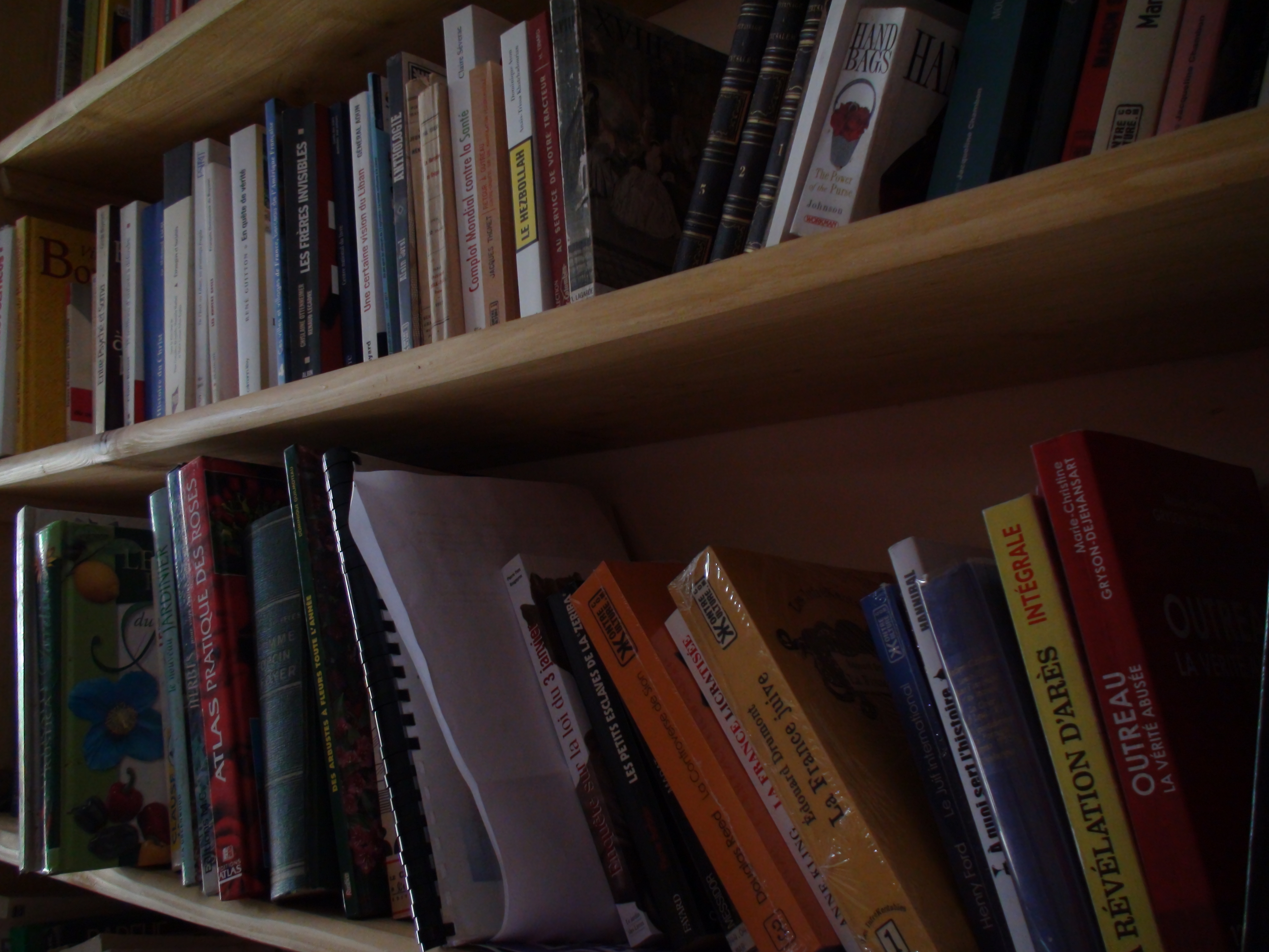 C'est une bénédiction que Trump ait supprimé le Ministère de l'Éducation ! Sigaut/Plaquevent