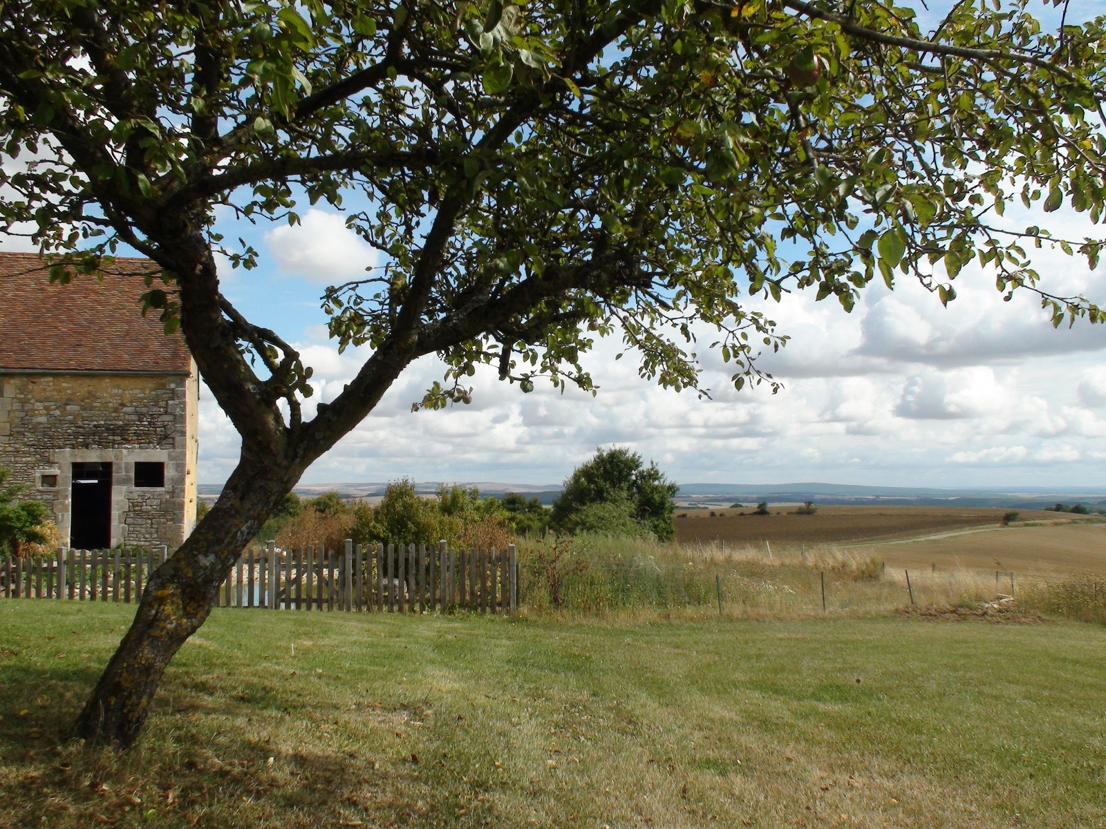 La mort du roi et les secrets de Saint Fargeau